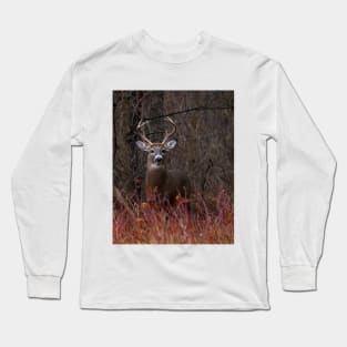 White-tailed buck Long Sleeve T-Shirt